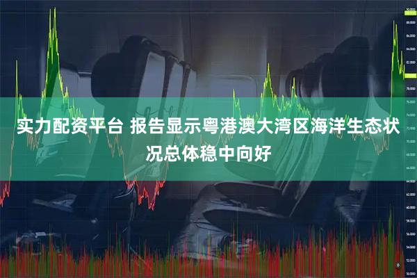 实力配资平台 报告显示粤港澳大湾区海洋生态状况总体稳中向好